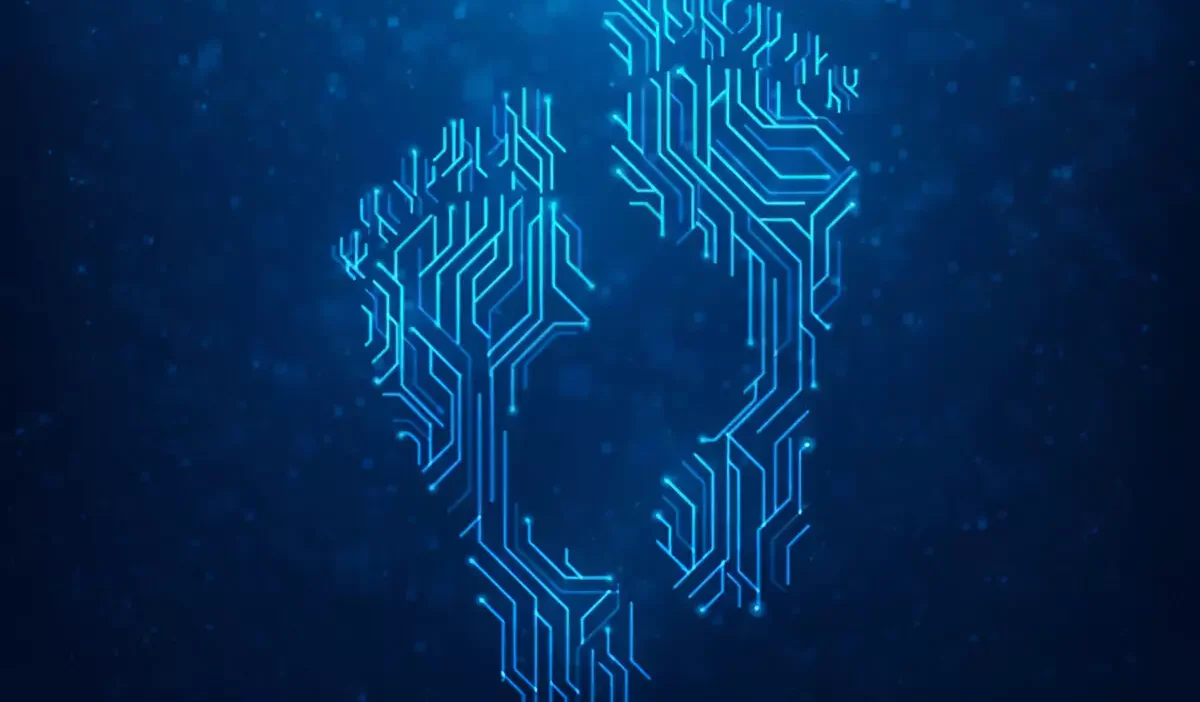 What Is a Digital Footprint